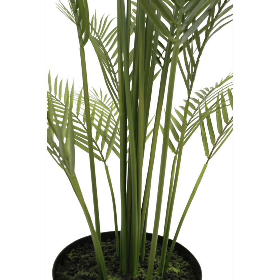 Kunstpalm 180cm - Afbeelding 6