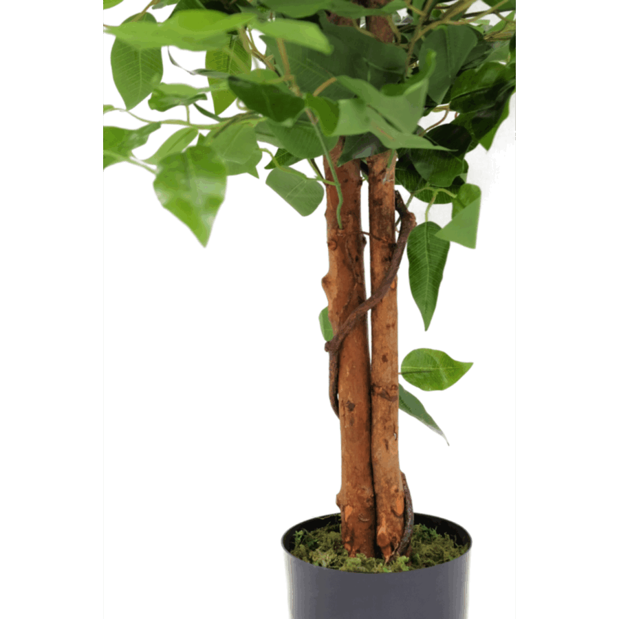Ficus Kunstboom 90cm - Afbeelding 4