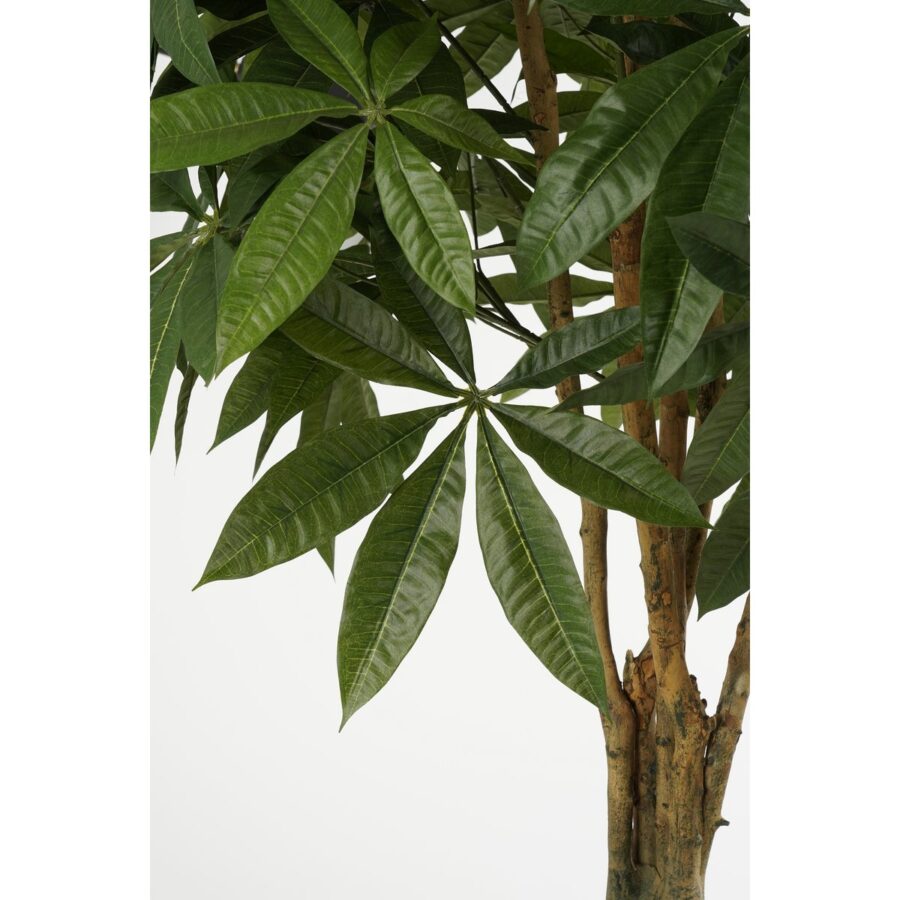Pachira Kunstplant - H150 x Ø65 cm - Groen - Afbeelding 2