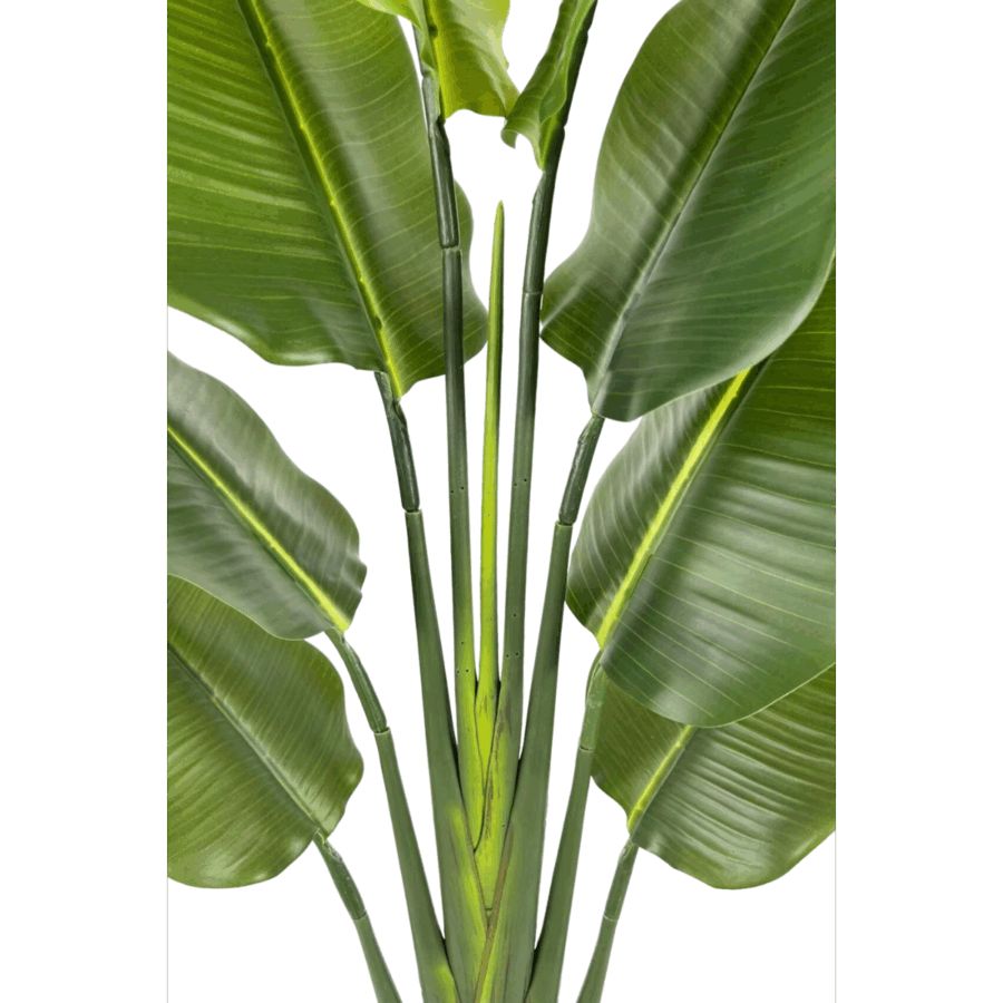 Strelitzia Kunstplant 140cm - Afbeelding 4