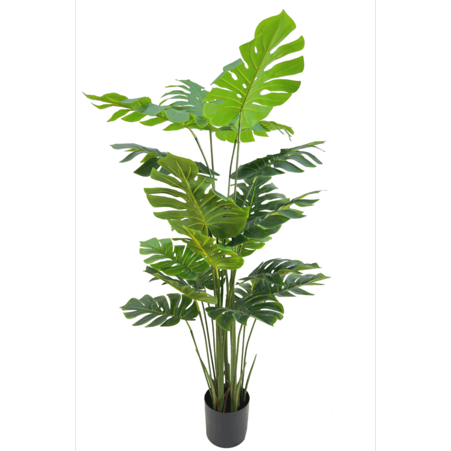 Monstera Madness - Kunstplantenpakket - Afbeelding 2