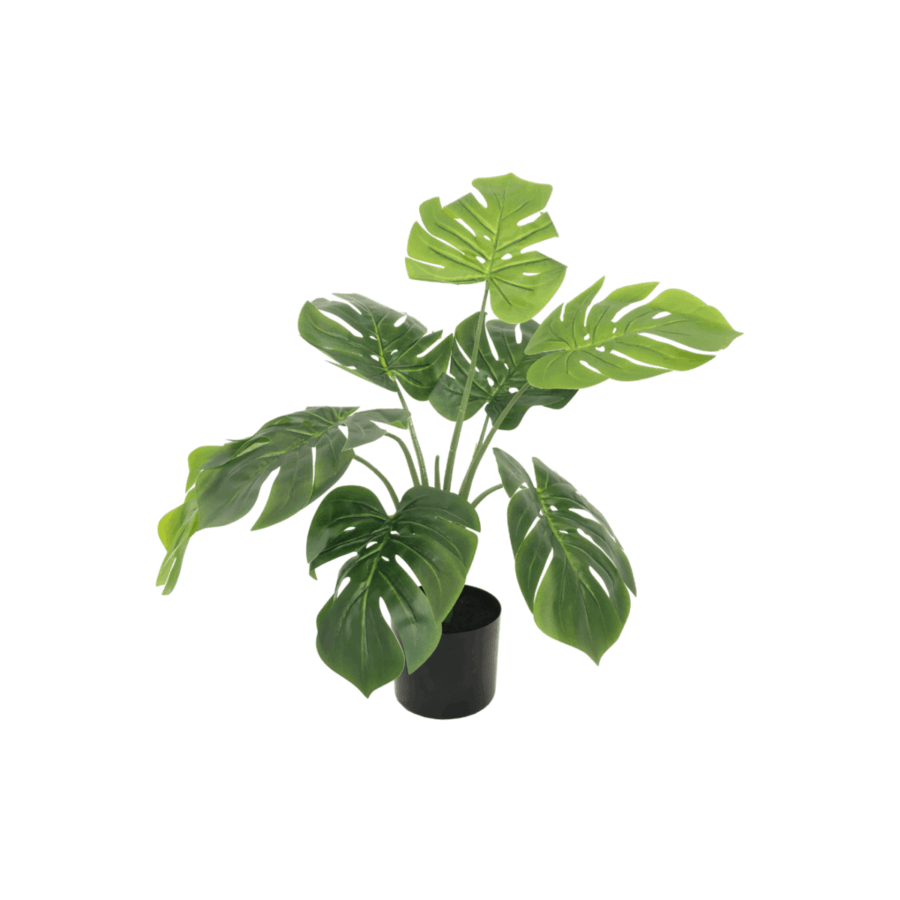 Monstera Kunstplant 60cm
