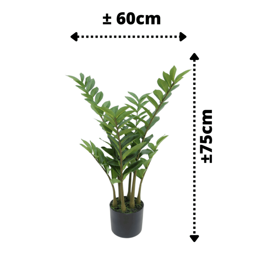 Zamioculcas Kunstplant 75cm - Afbeelding 3