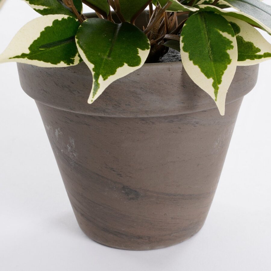 Ficus Natasja Kunstplant in Bloempot Stan - H40 x Ø30 cm - Groen Bont - Afbeelding 4