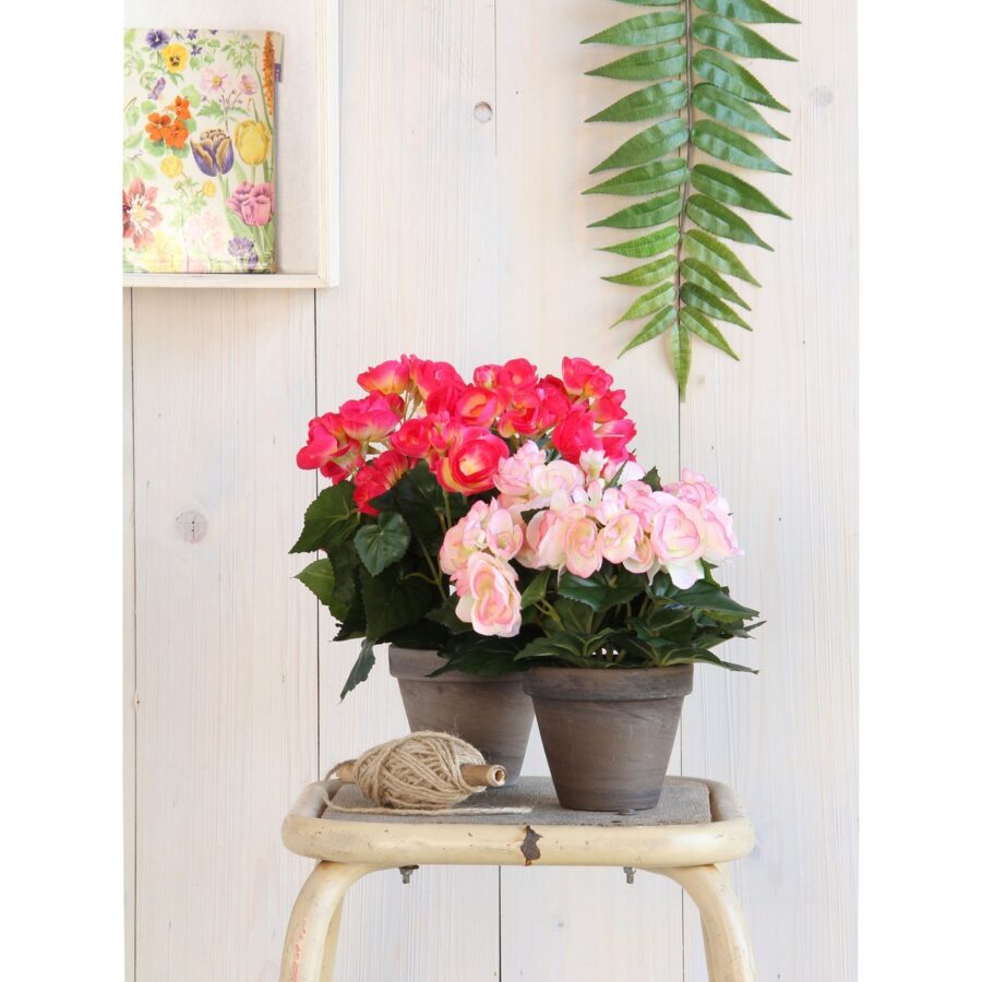 Begonia Kunstplant in Bloempot Stan - H30 x Ø25 cm - Donkerroze - Afbeelding 6