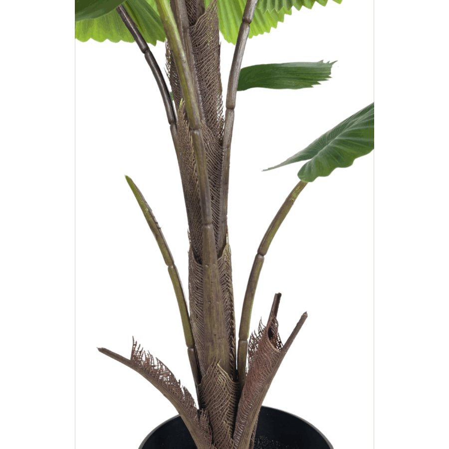 Kunst Waaierpalm 90cm - Afbeelding 4