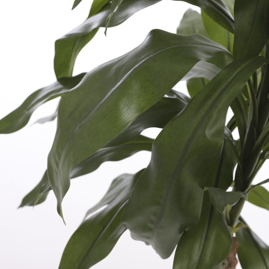 Dracaena Kunstplant - H100 x Ø70 cm - Afbeelding 2