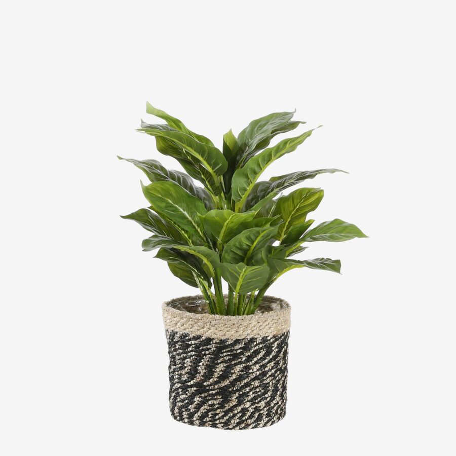 Evergreen Kunstplant in Bloempot Stan - H49 x Ø40 cm - Groen - Afbeelding 6