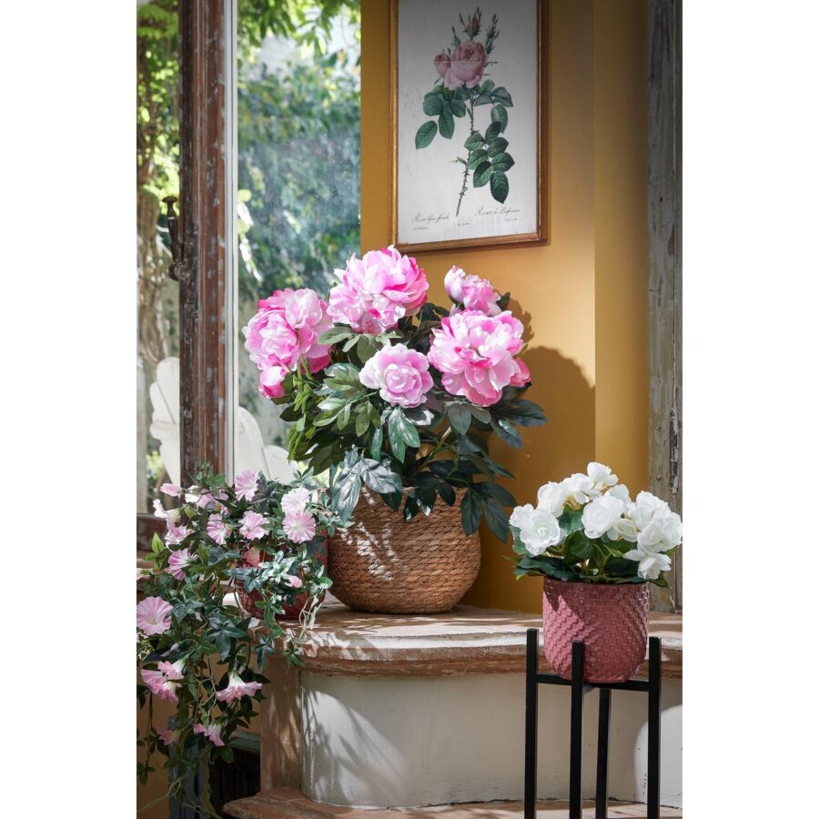Ascot Plantenstandaard - L24 x B24 x H55 cm - Metaal - Zwart - Afbeelding 7