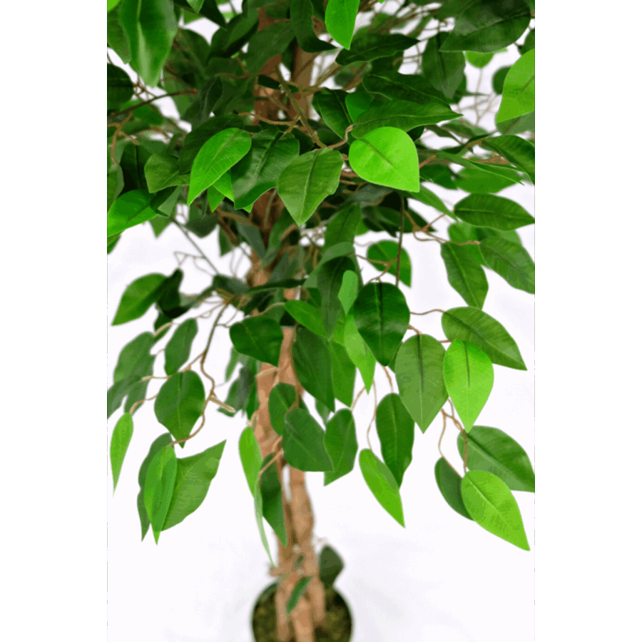 Kunst Ficus 150cm - Afbeelding 4