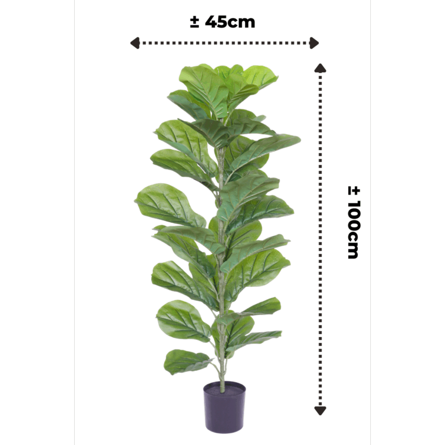 Ficus Kunstplant 100cm - Afbeelding 3