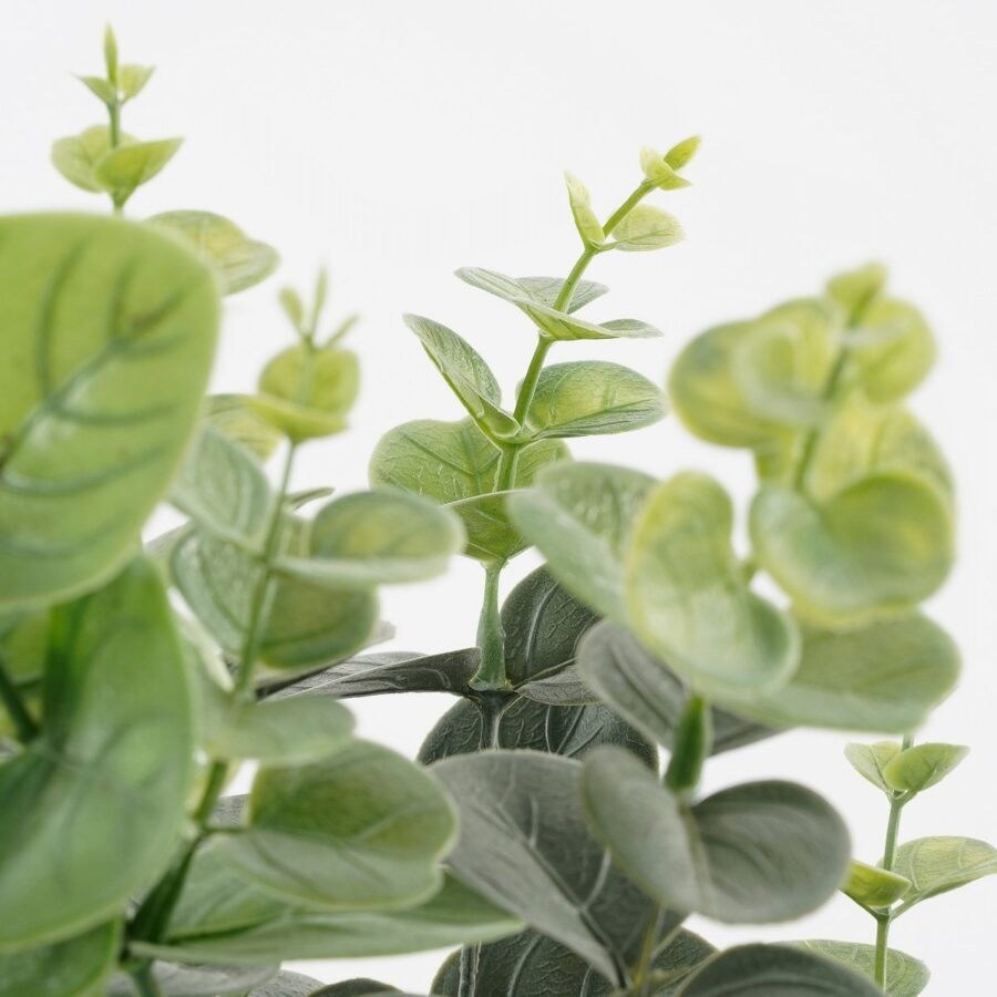 Eucalyptus Kunstplant in Bloempot - H53 x Ø23 cm - Groen - Afbeelding 2