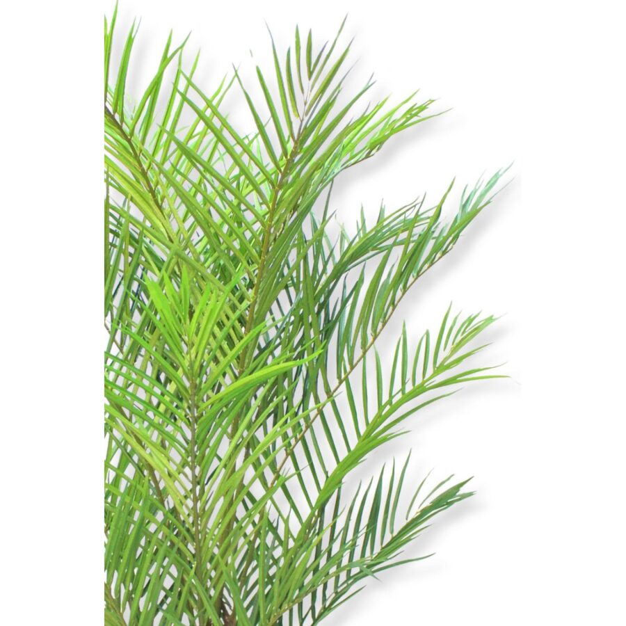 Kunstpalm 180cm - Afbeelding 5