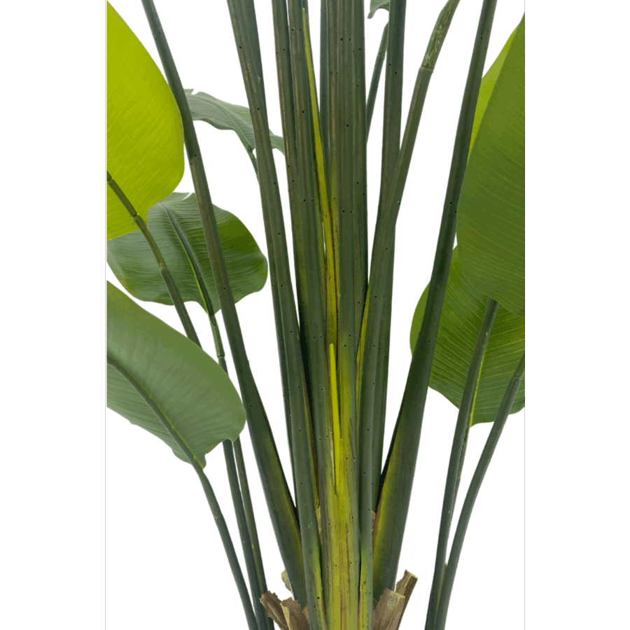 Strelitzia Kunstplant 210cm - Afbeelding 5
