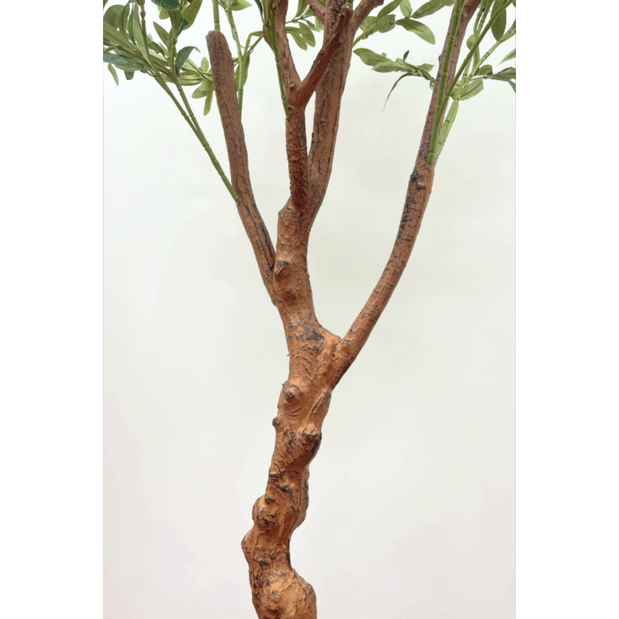Kunst Olijfboom 150cm (lichte stam) - Afbeelding 5