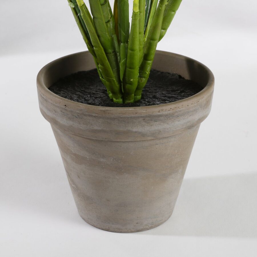 Evergreen Kunstplant in Bloempot Stan - H49 x Ø40 cm - Groen - Afbeelding 3