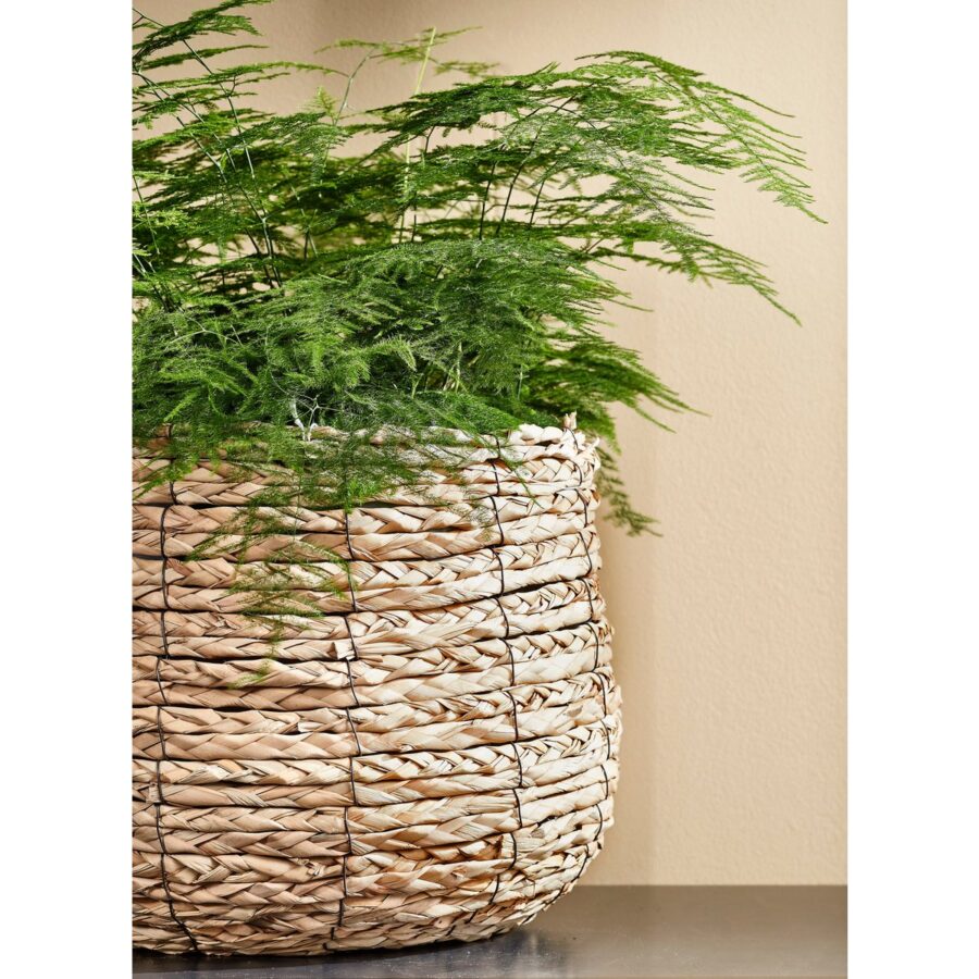 Avalon Plantenmand - Set van 3 - H31 x Ø30 cm - Zeegras - Lichtbruin - Afbeelding 6