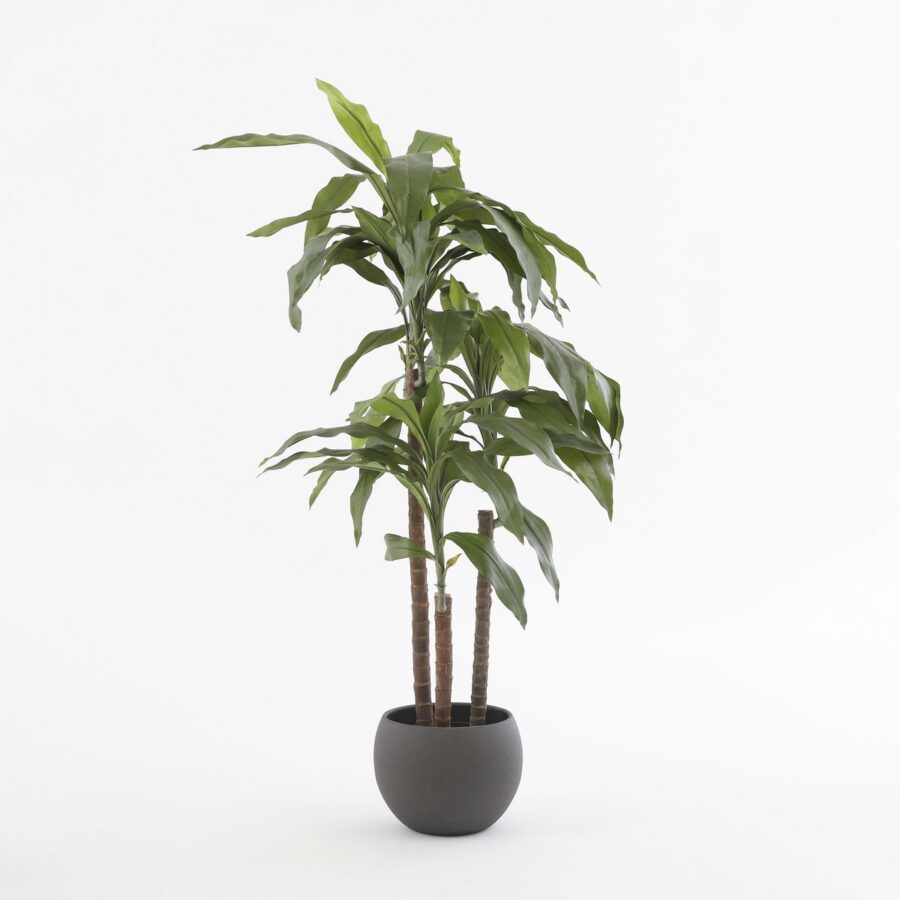 Dracaena Kunstplant - H100 x Ø70 cm - Afbeelding 5