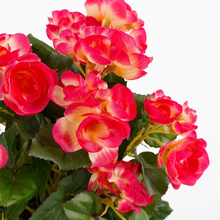 Begonia Kunstplant in Bloempot Stan - H37 x Ø36 cm - Donkerroze - Afbeelding 2