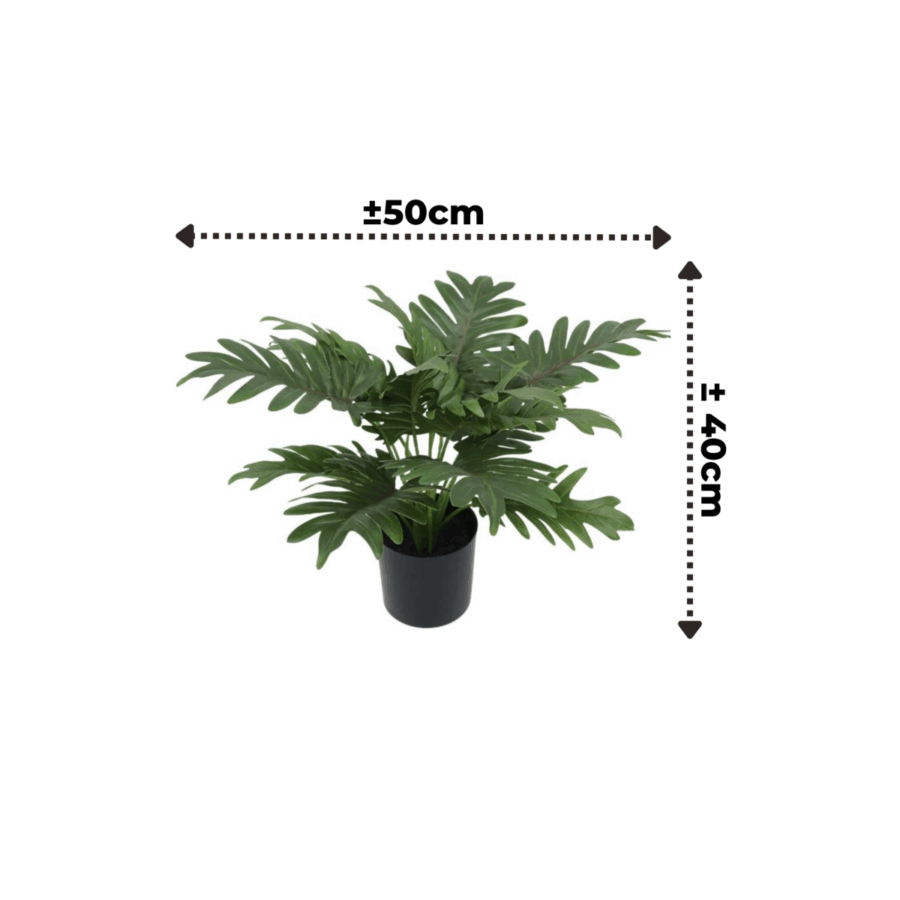 Philodendron Kunstplant 40cm - Afbeelding 4