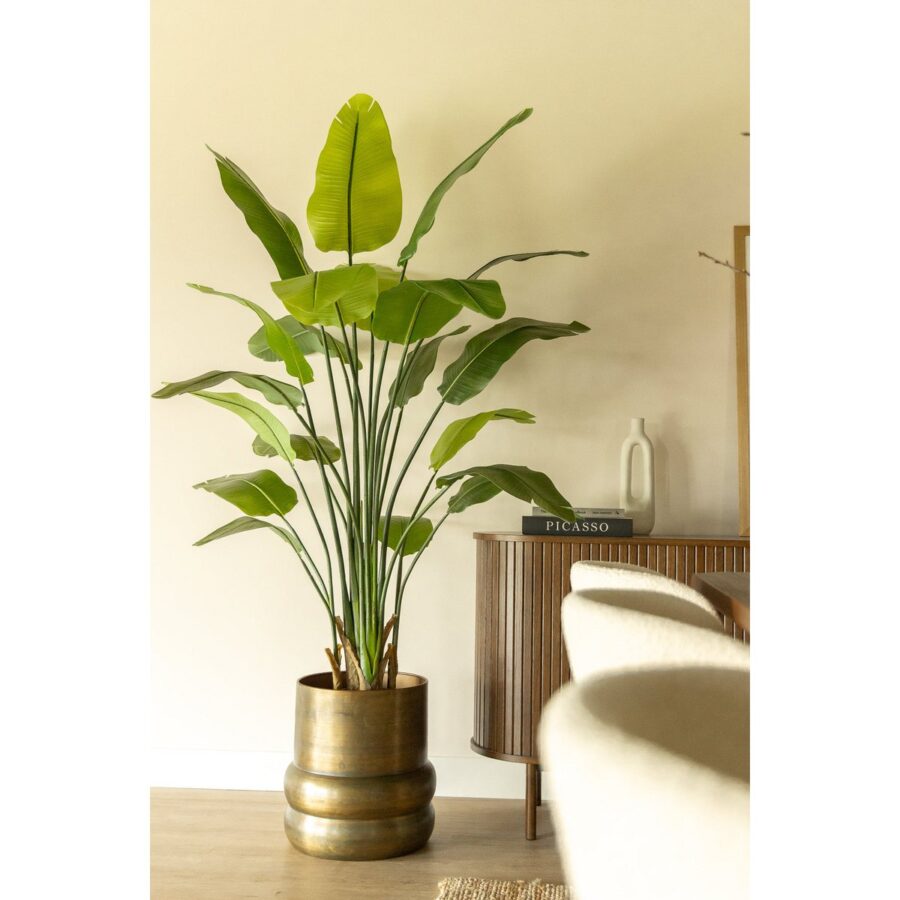 Strelitzia Kunstplant 180cm - Afbeelding 2