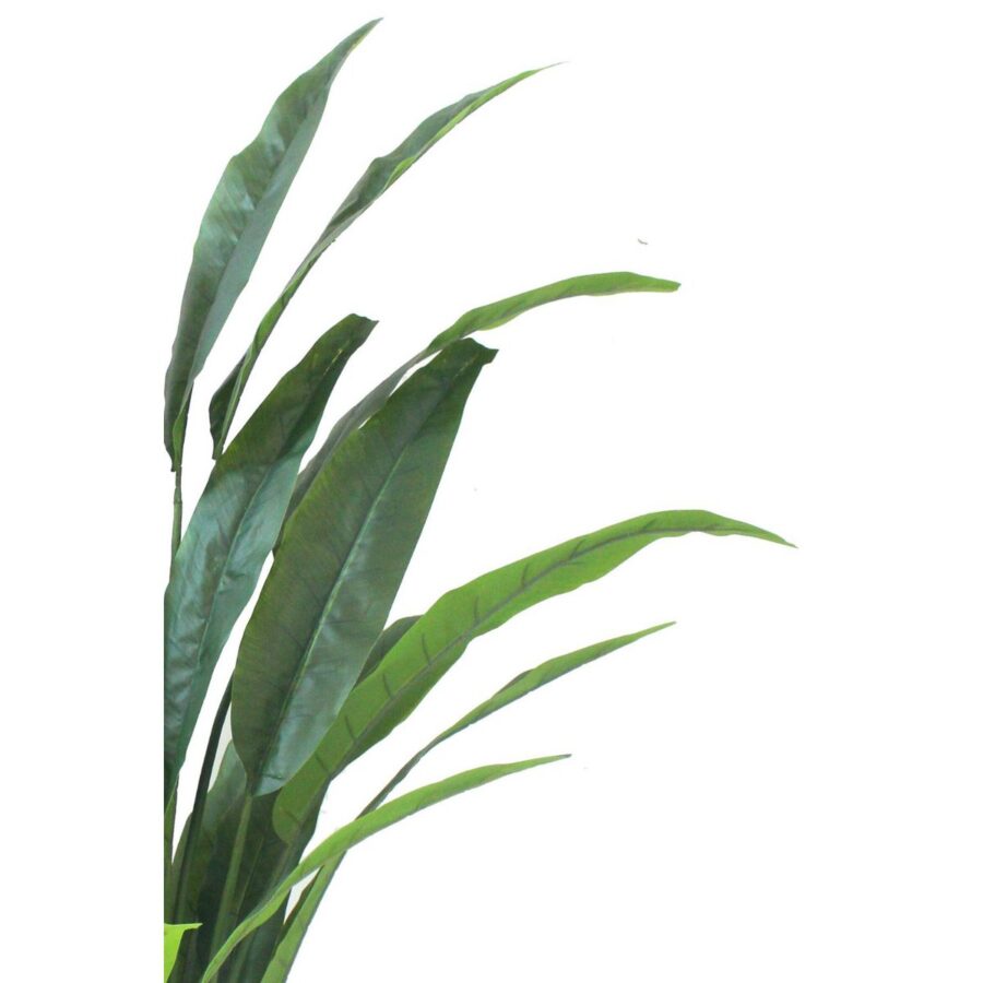 Strelitzia Kunstplant 160cm - Afbeelding 3