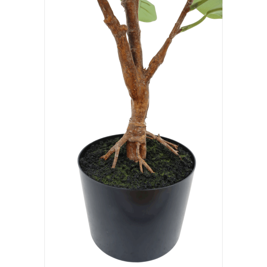 Ficus Kunstplant 80cm - Afbeelding 6