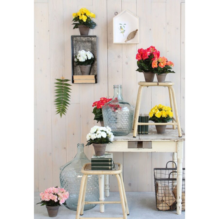 Begonia Kunstplant in Bloempot Stan - H30 x Ø25 cm - Donkerroze - Afbeelding 5
