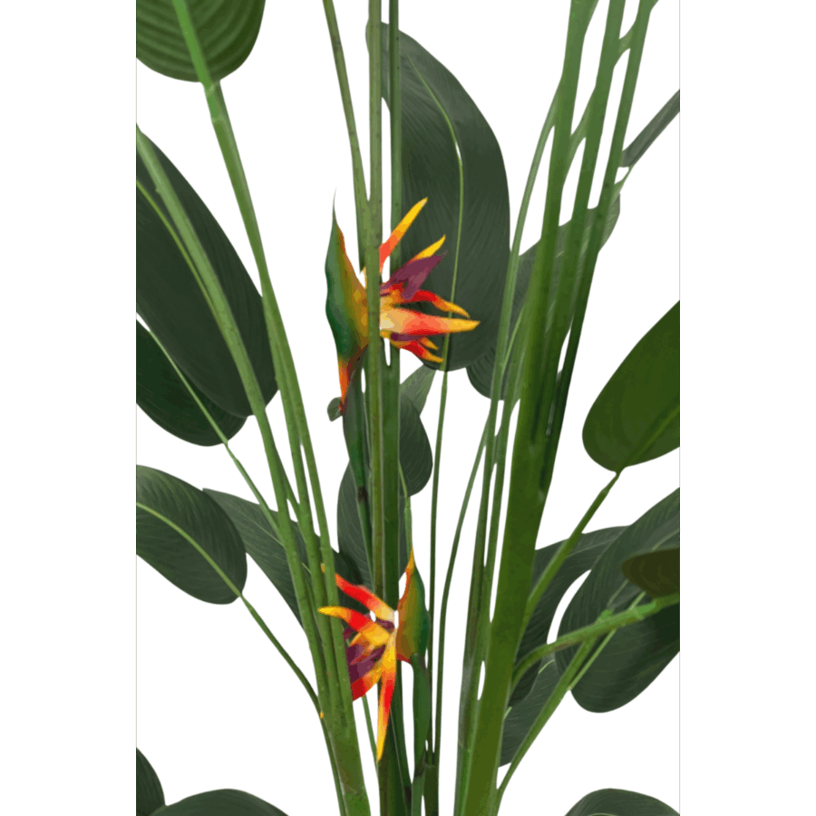 Strelitzia Kunstplant Met Bloem 210cm - Afbeelding 4