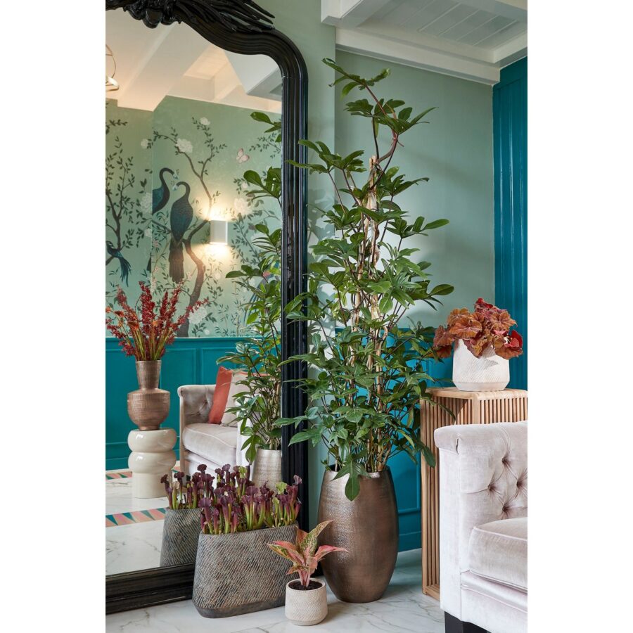 Yonker Plantentafel - Set van 2 - L35 x B25 x H80 cm - Gerecycled Hout - Bruin - Afbeelding 8