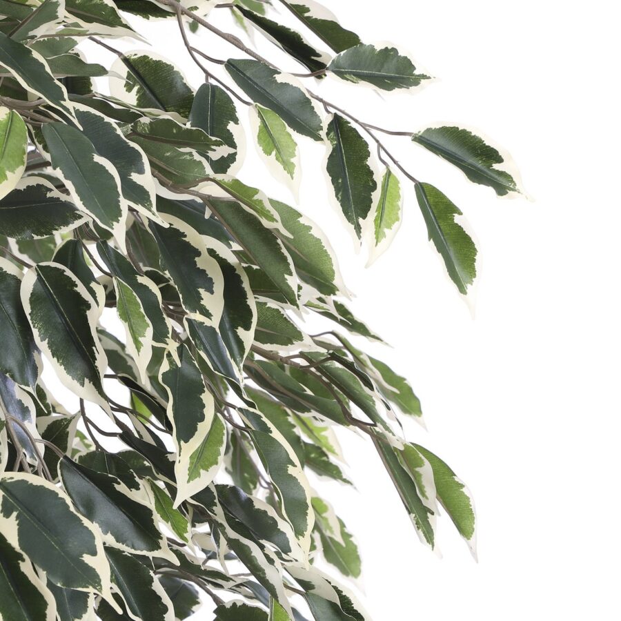 Ficus Kunstplant - H180 x Ø90 cm - Groen Bont - Afbeelding 2