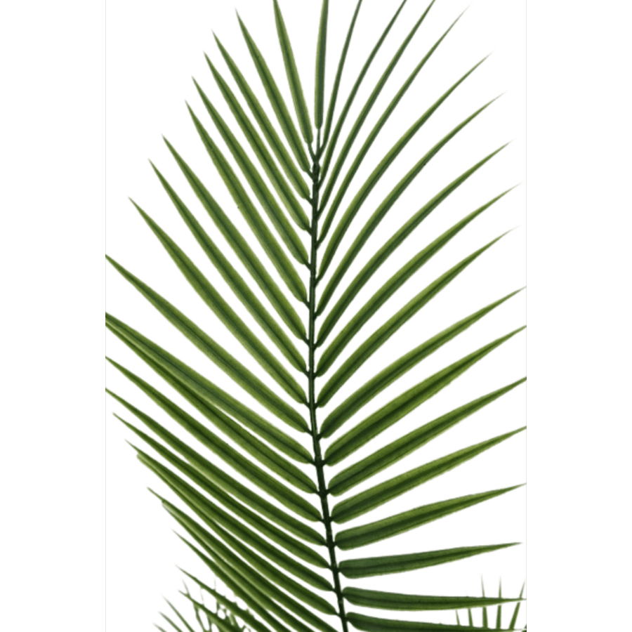 Kunstpalm 180cm - Afbeelding 4