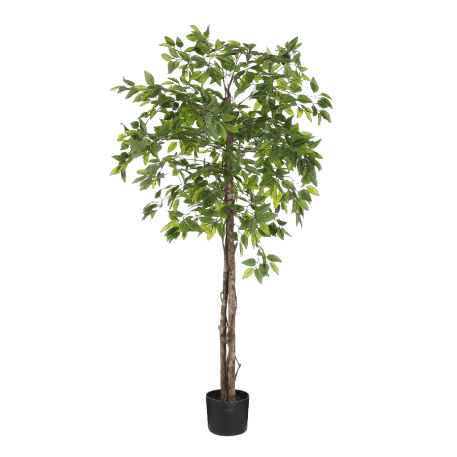Ficus Kunstplant in Bloempot - H150 x Ø50 cm - Groen
