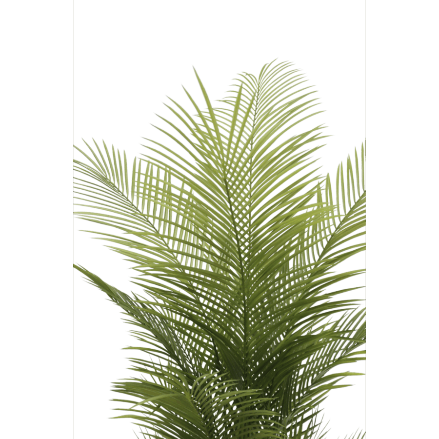 Kunstpalm 150cm - Afbeelding 4