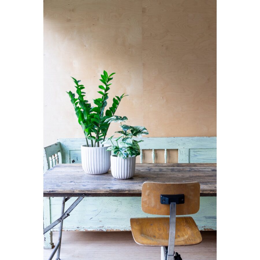 Zamioculcas Kunstplant 75cm - Afbeelding 2