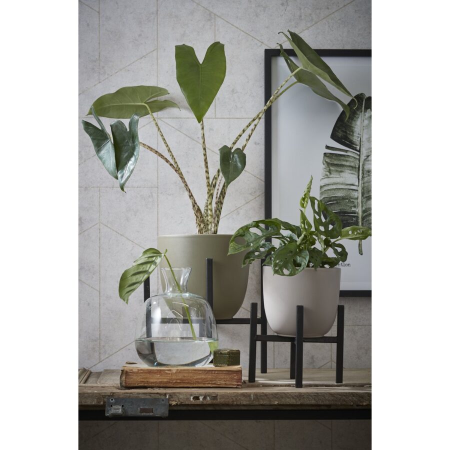Ascot Plantenstandaard - L24 x B24 x H25 cm - Metaal - Zwart - Afbeelding 6