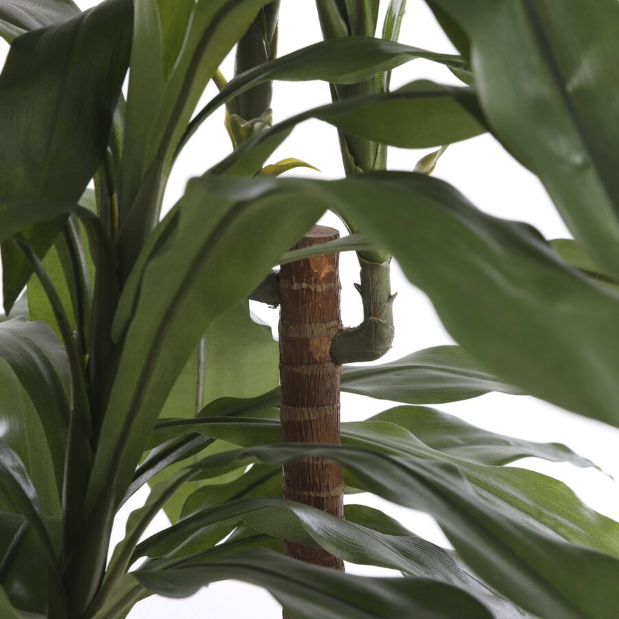 Dracaena Kunstplant - H100 x Ø70 cm - Afbeelding 4
