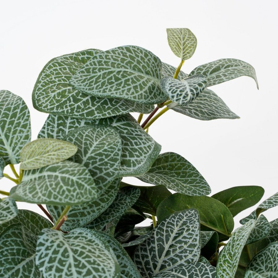 Fittonia Kunst Hangplant - L15 x B20 x H54 cm - Groen - Afbeelding 2