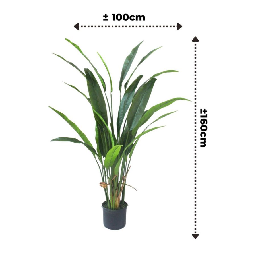 Strelitzia Kunstplant 160cm - Afbeelding 2