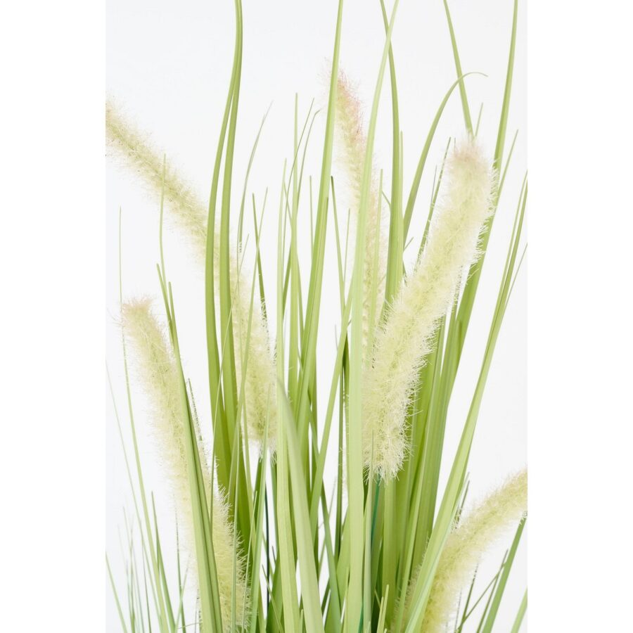 Dogtail Gras Kunstplant - H53 x Ø30 cm - Groen - Afbeelding 2