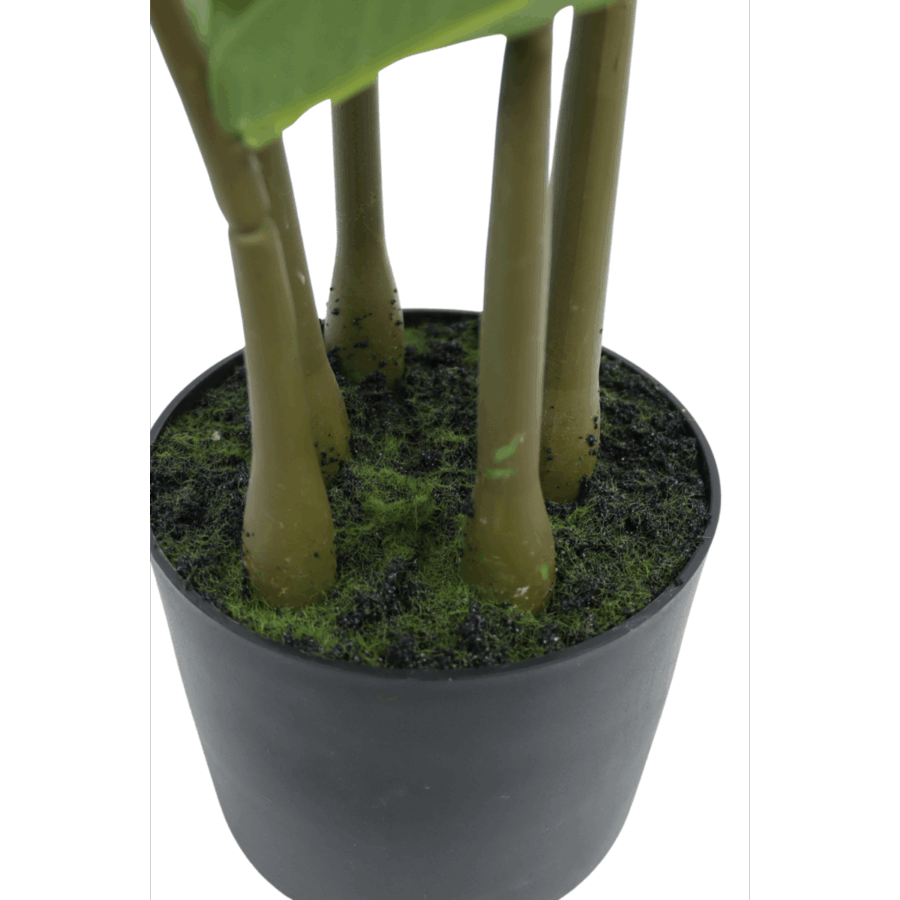 Zamioculcas Kunstplant 75cm - Afbeelding 6