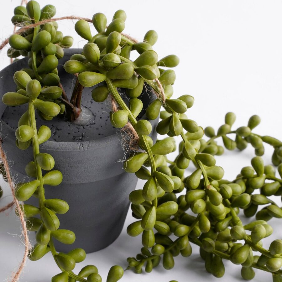 Senecio Kunst Hangplant - H56 x Ø9 cm - Groen - Afbeelding 2