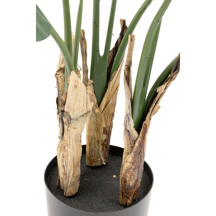 Strelitzia Kunstplant 90cm - Afbeelding 4