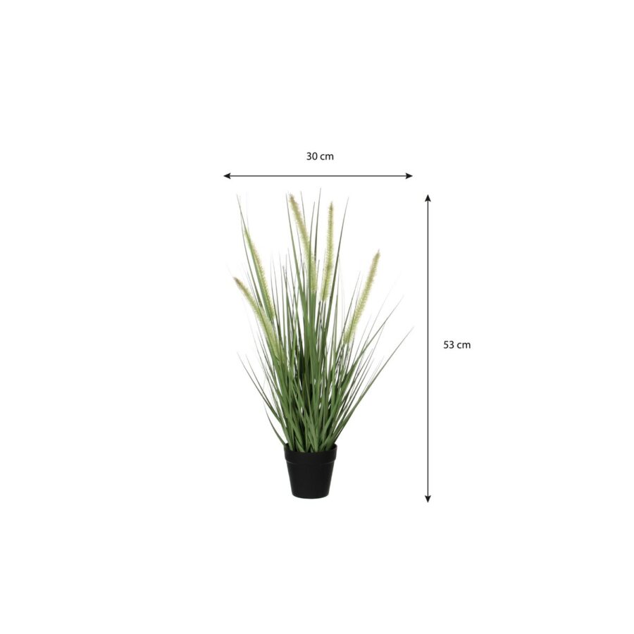 Dogtail Gras Kunstplant - H53 x Ø30 cm - Groen - Afbeelding 4
