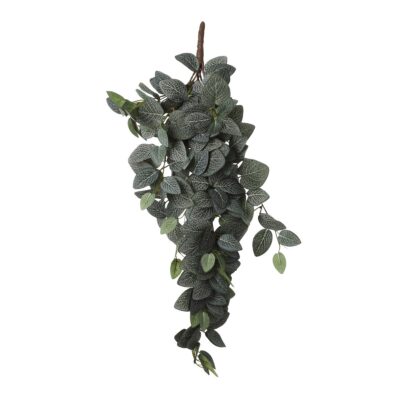 Fittonia Kunst Hangplant - L15 x B20 x H54 cm - Groen