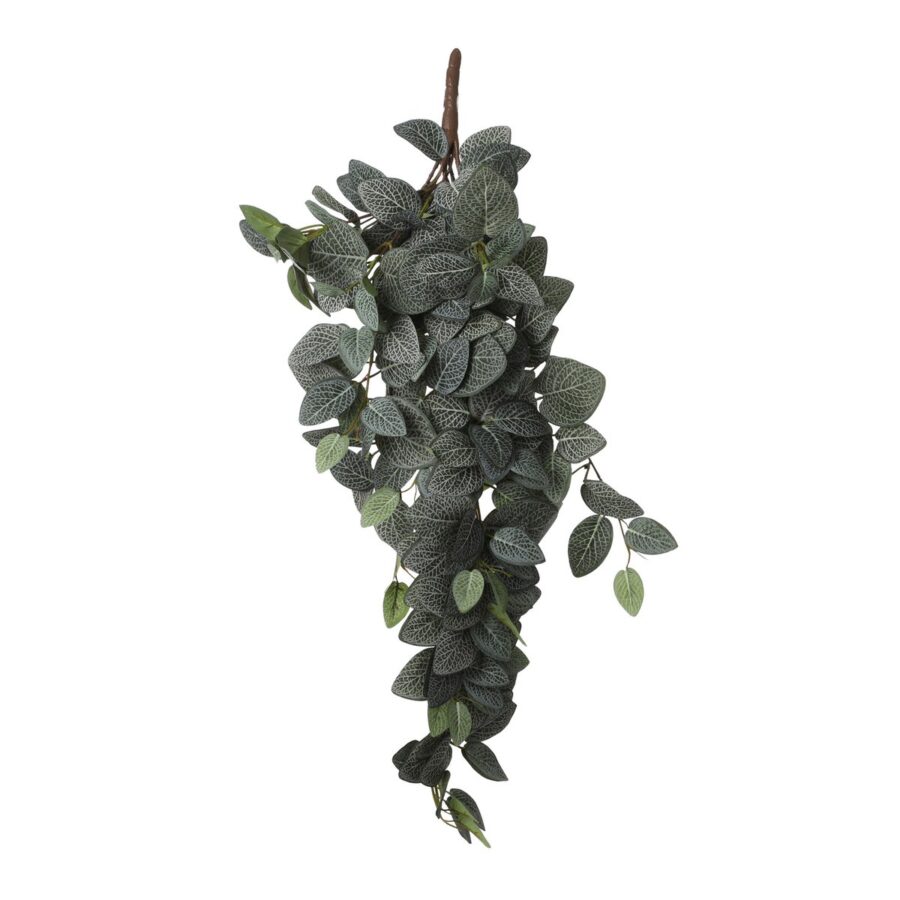 Fittonia Kunst Hangplant - L15 x B20 x H54 cm - Groen