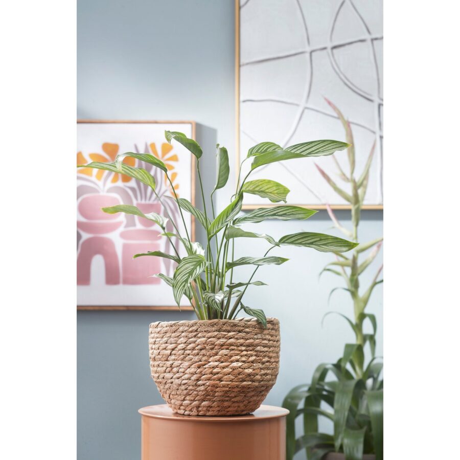 Jorck Plantenmand - H24 x Ø26 cm - Zeegras - Lichtbruin - Afbeelding 7