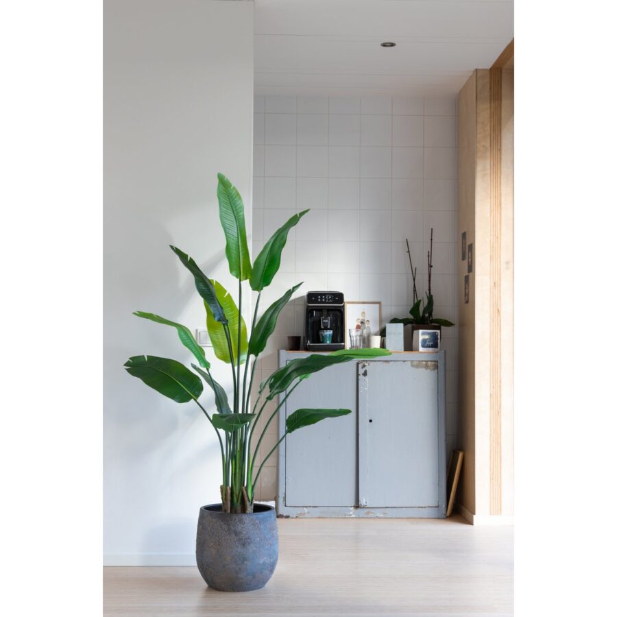 Strelitzia Kunstplant 160cm - Afbeelding 3