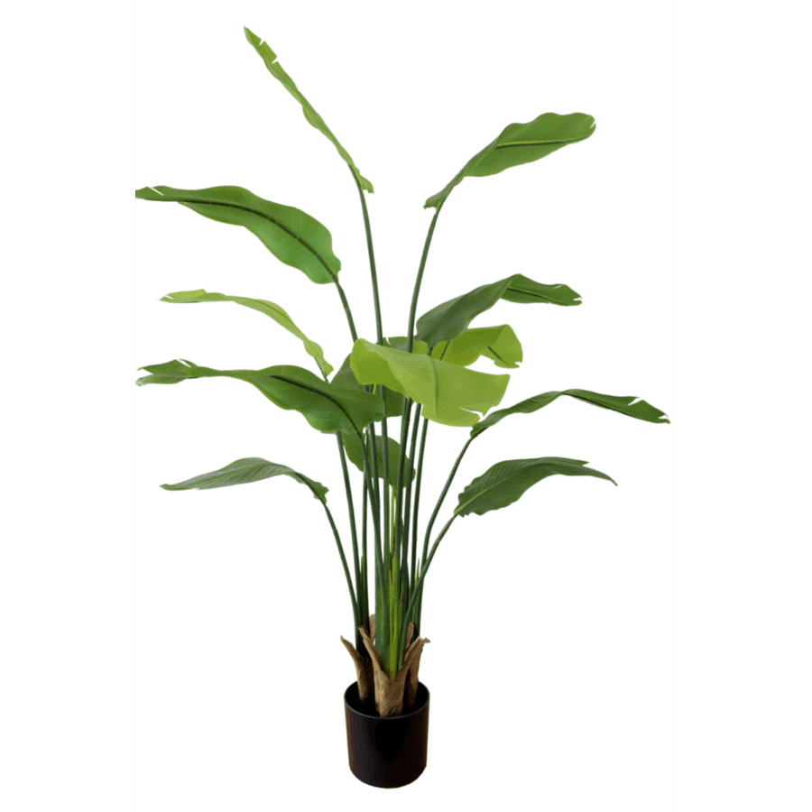 Strelitzia Kunstplant 160cm - Afbeelding 5