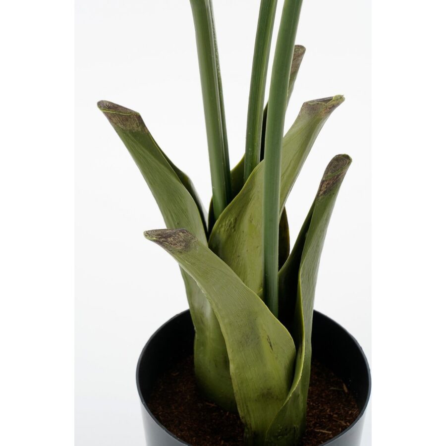 Vissenstaart Palm Kunstplant in Pot - H150 x Ø100 cm - Groen - Afbeelding 4